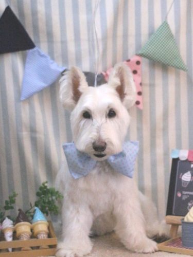 20250511ムーミンくん